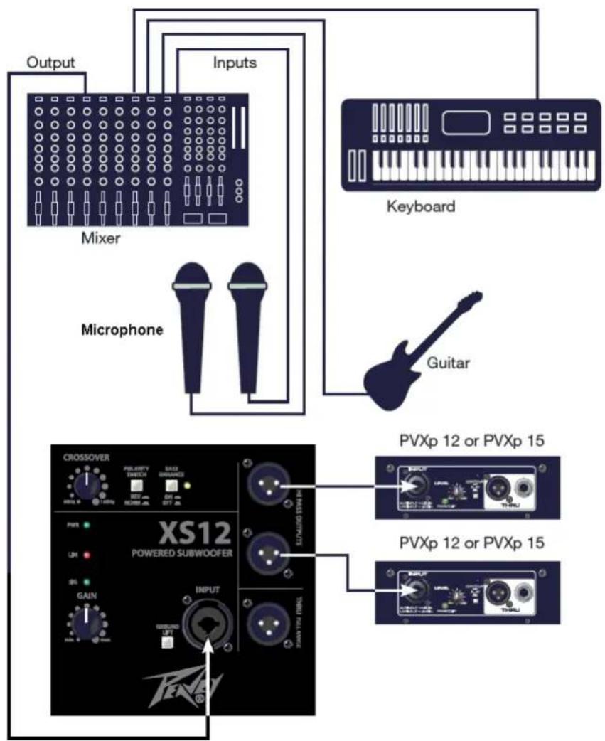 PEAVEY PVs 12 - Check for Secure Hardware - 1