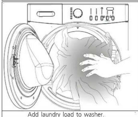 Add laundry load to washer.