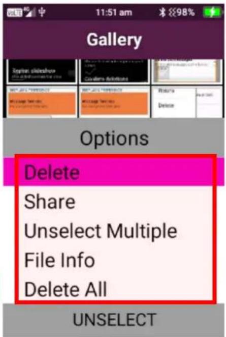 Gallery Options Delete Share Unselect Multiple File Info Delete All UNSELECT