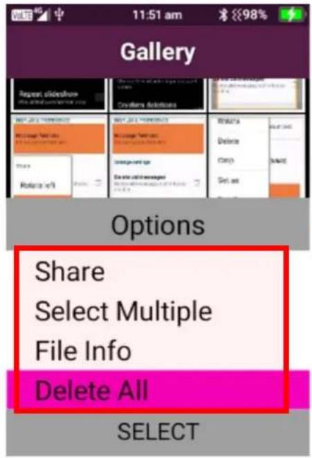 Gallery Options Share Select Multiple File Info Delete All SELECT
