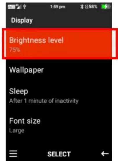 Display Brightness level 75% Wallpaper Sleep After 1 minute of inactivity Font size Large SELECT