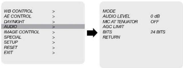 WB CONTROL > AE CONTROL > DAY/NIGHT > AUDIO > IMAGE CONTROL > SPECIAL > SETUP > RESET > EXIT >