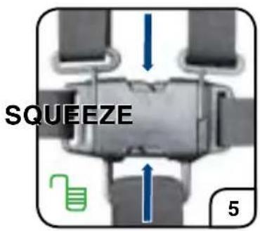 SQUEEZE 5