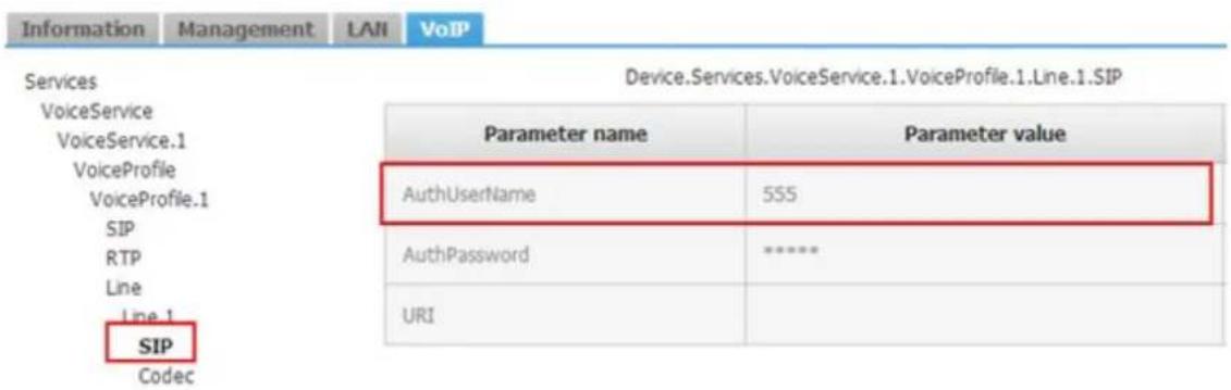 Information Management LAN VoIP Services sac VoiceService VoiceService.1 VoiceProfile VoiceProfile.1 SIP RTP Line Line 1 SIP Codec Device.Services.VoiceService.1.VoiceProfile.1.Line.1.SIP Parameter name Parameter value AuthUsername 555 AuthPassword **** URI