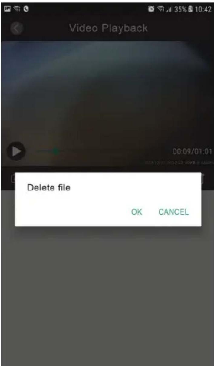 Video Playback Delete file OK CANCEL