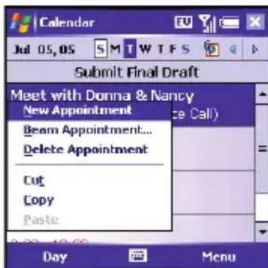 Calendar Jul 05,05 S MT W T F S Submit Final Draft Meet with Donna & Nancy New Appointment Beam Appointment... Delete Appointment Cut Copy Paste Day Menu