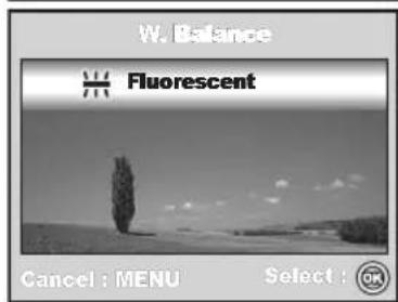 W. Balance Fluorescent Cancel : MENU Select : OK