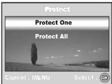Protect Protect One Protect All Cancel : MENU Select : OK