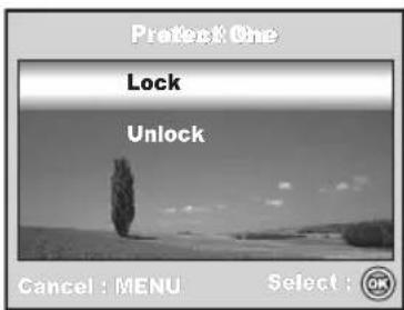 Protect One Lock Unlock Cancel : MENU Select : OK