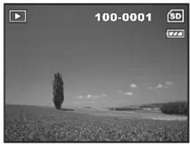 SANYO VPC-603 - Viewing Images - 2