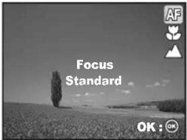 AF Focus Standard OK : OK