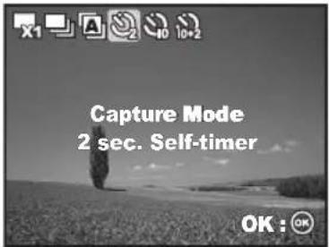 Capture Mode 2 sec. Self-timer OK : OK