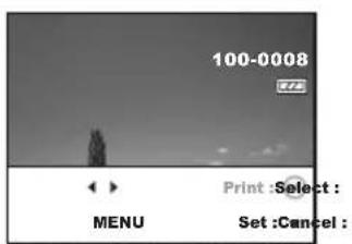 100-0008 Menu Print :Select : Set :Cancel :