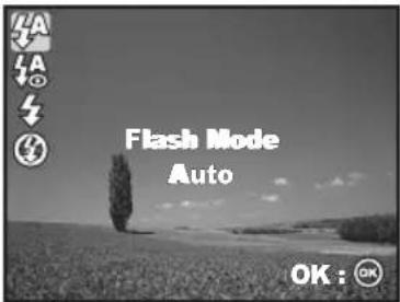 Flash Mode Auto OK: OK