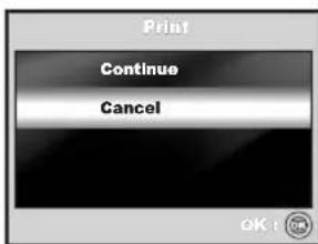 Print Continue Cancel
