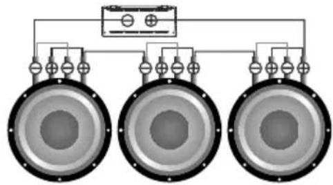 Deaf Bonce Apocalypse AAP-350.1D Atom Plus - IN FORM AT IO N ON D IS POSAL OF THE ELECTRICAL AND EL EC TR ON IC E EQUIPMENT (FOR THE EUROPEAN COUNTRIES WITH SE PA RATE W AS TE COL LE CTION) - 3