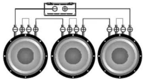Deaf Bonce Apocalypse AAP-350.1D Atom Plus - IN FORM AT IO N ON D IS POSAL OF THE ELECTRICAL AND EL EC TR ON IC E EQUIPMENT (FOR THE EUROPEAN COUNTRIES WITH SE PA RATE W AS TE COL LE CTION) - 5