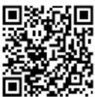 Deaf Bonce Avatar ATU-600.4 - INFORMATION ON DISPOSAL OF THE ELECTRICAL AND ELECTRONIC EQUIPMENT (FOR THE EUROPEAN COUNTRIES WITH SEPARATE WASTE COLLECTION). - 1