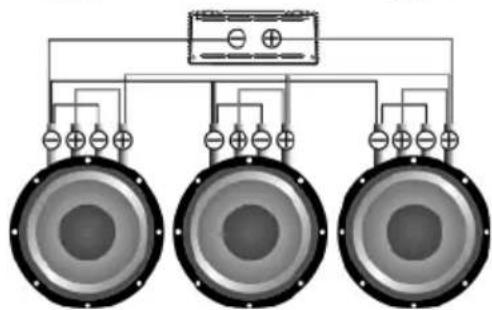 Deaf Bonce Apocalypse AAB-800.1D Atom - INFORMATION ON DISPOSAL OF THE ELECTRICAL AND ELECTRONIC EQUIPMENT (FOR THE EUROPEAN COUNTRIES WITH SEPARATE WASTE COLLECTION) - 8