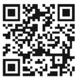 Deaf Bonce Apocalypse AAB-800.1D Atom - INFORMATION ON DISPOSAL OF THE ELECTRICAL AND ELECTRONIC EQUIPMENT (FOR THE EUROPEAN COUNTRIES WITH SEPARATE WASTE COLLECTION) - 10