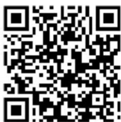 Deaf Bonce Apocalypse AAB-2400.2D - INFORMATION ON DISPOSAL OF THE ELECTRICAL AND ELECTRONIC EQUIPMENT (FOR THE EUROPEAN COUNTRIES WITH SEPARATE WASTE COLLECTION) - 1