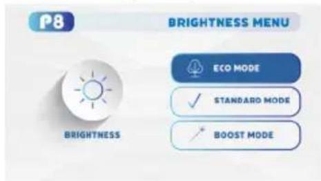 P8 BRIGHTNESS MENU ECO MODE ✓ STANDARD MODE ✓ BOOST MODE