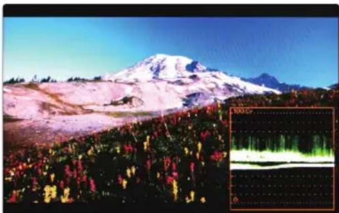 TVLogic RKM-290A - ● Waveform Cb, Cr - 2