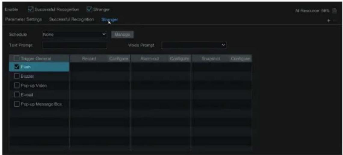 Enable ✓ Successful Recognition ✓ Stranger Parameter Settings Successful Recognition Stranger Schedule None Manage Text Prompt Voice Prompt Trigger General Record Configure Alarm-out Configure Snapshot Configure ✓ Push □ Buzzer □ Pop-up Video □ E-mail □ Pop-up Message Box