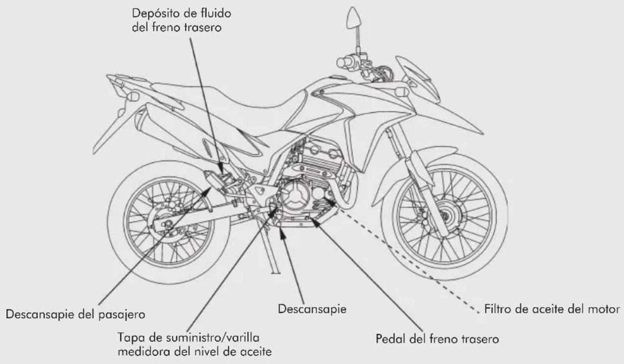 Depósito de fluido del freno trasero Descansapie del pasajero Tapa de suministro/varilla medidora del nivel de aceite Descansapie Filtro de aceite del motor Pedal del freno trasero