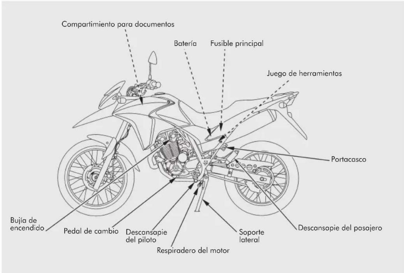 Compartimiento para documentos Batería Fusible principal Juego de herramientas Portacasco Descansapie del pasajero Soporte lateral Respiradero del motor Descansapie del piloto Pedal de cambio Bujía de encendido