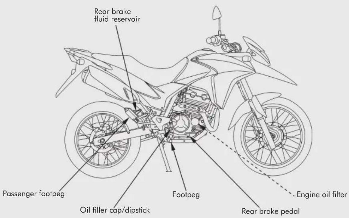 Rear brake fluid reservoir Passenger footpeg Oil filler cap/dipstick Footpeg Engine oil filter Rear brake pedal