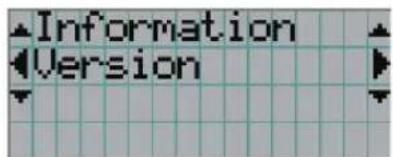 Information Version