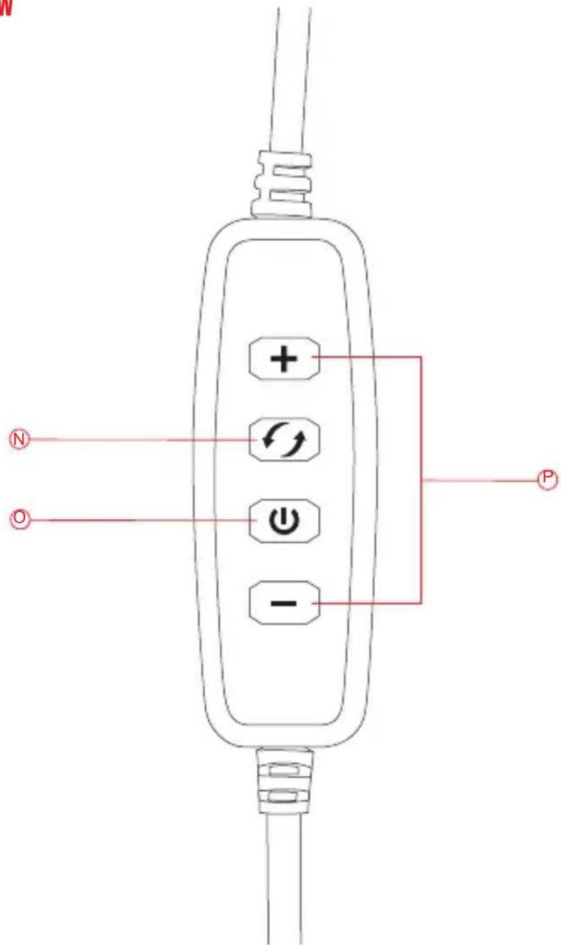 N O + ← - P -