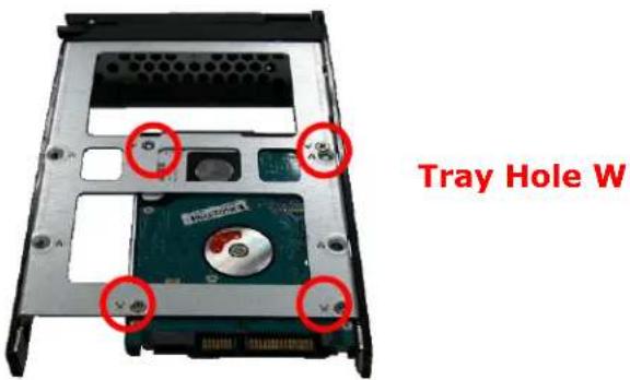 Tray Hole W