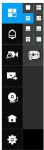 Screenshot of a software toolbar with icons for zoom, video, settings, and home control