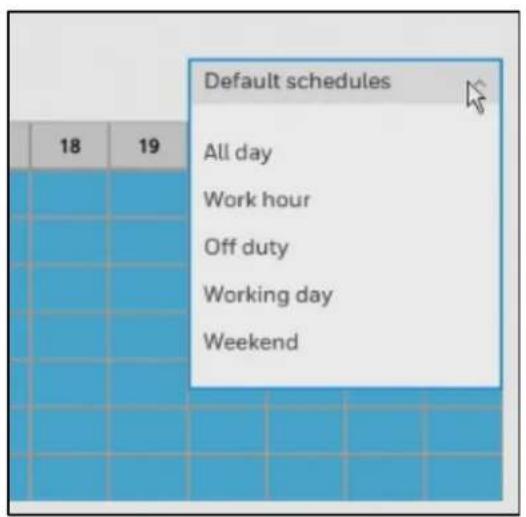 Default schedules All day Work hour Off duty Working day Weekend