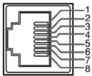 Wohler RM-2443WS-3G - Rear Panel Connectors - 2