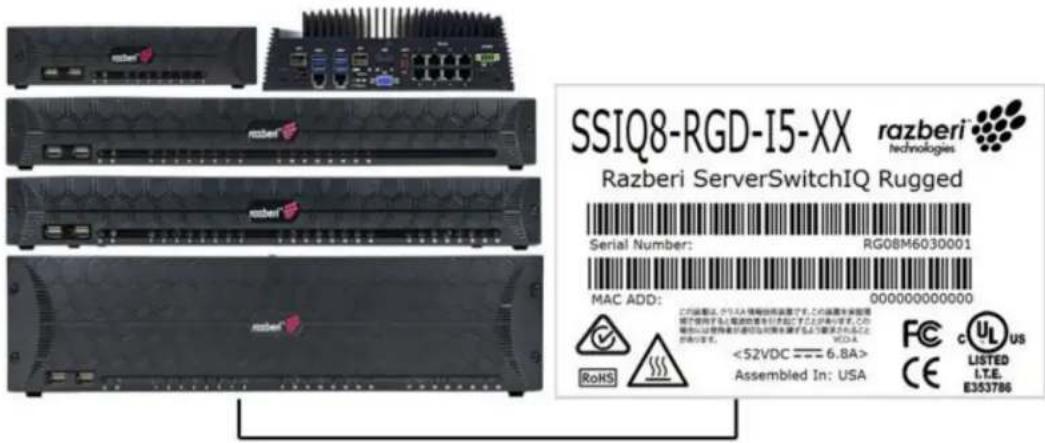 Razberi ServerSwitchIQ SSIQ24P-2-XE - Identifying Your Product - 1