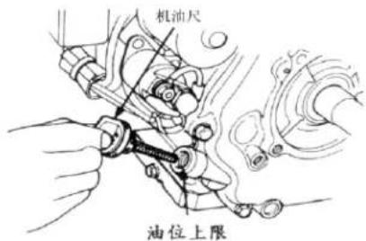 机油尺 油位上限