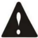 Lifan Hydro Pro 4500E - Safety Instructions - 1