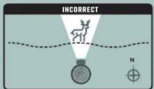 INCORRECT N