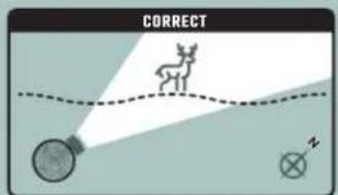 CORRECT