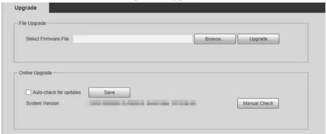Upgrade File Upgrade Select Firmware File Browse... Upgrade Online Upgrade Auto-check for updates Save System Version Manual Check