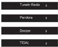 Tuneln Radio Pandora Deezer TIDAL