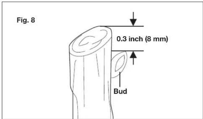 Fig. 8 0.3 inch (8 mm) Bud