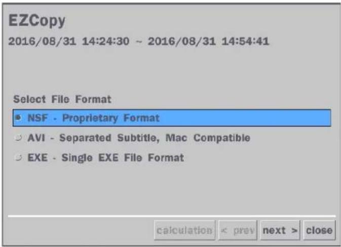 Speco Technologies D16WVN - 6-3. EZCopy: Video Backup onto USB Flash Drive during playback - 4