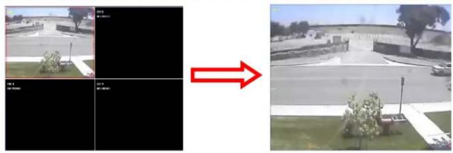 Speco Technologies D16WVN - 7-8-3. Still-image Capture During Live - 1