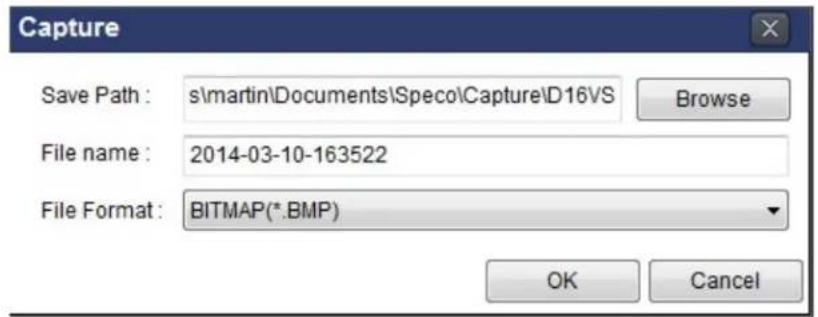 Speco Technologies D16WVN - 7-8-3. Still-image Capture During Live - 2