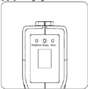 Dangerous Roarty Safe