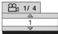 ROTEL RDV-1045 - Selecting the Viewing Angle - 2